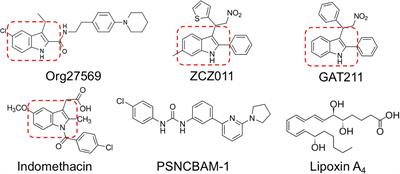 Indomethacin Enhances Type 1 Cannabinoid Receptor Signaling